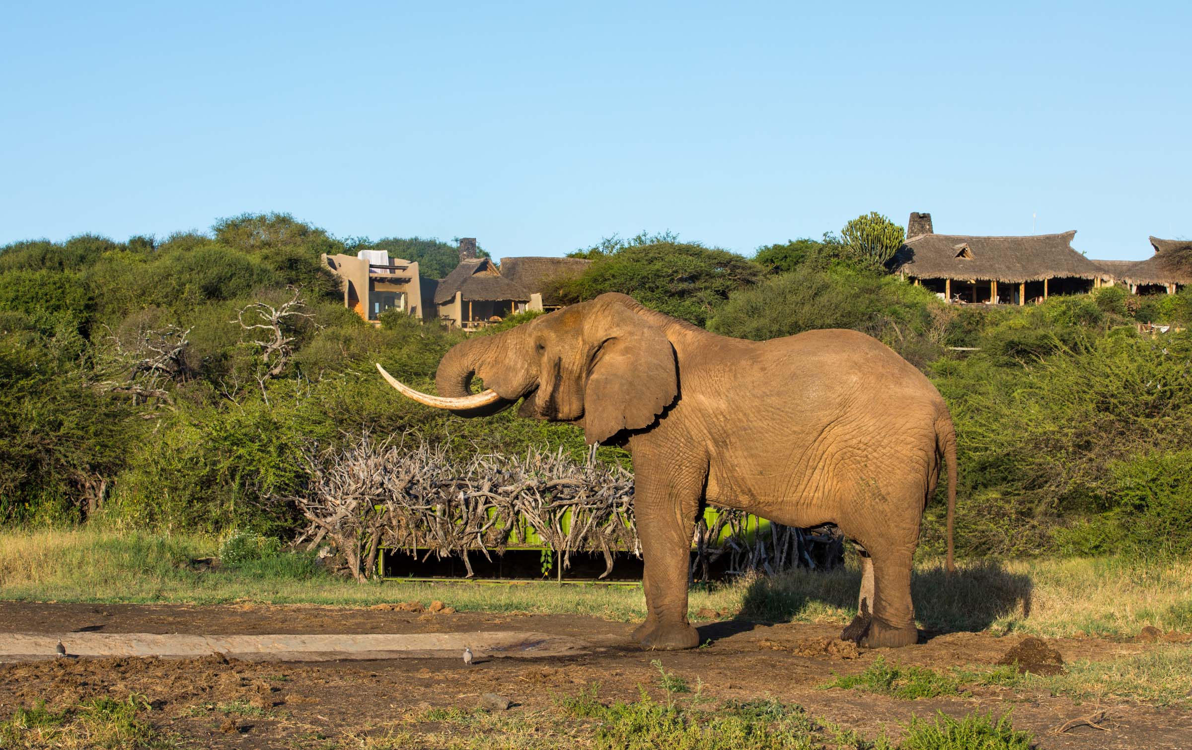 Ol Donyo Lodge on a Luxury Safari Kenya